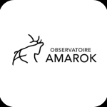 observatoire amarok